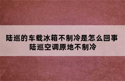 陆巡的车载冰箱不制冷是怎么回事 陆巡空调原地不制冷